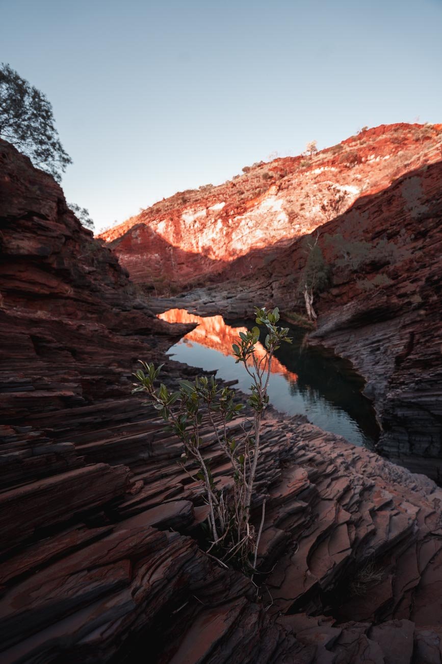 Karijini NP - Hamersley Gorge23- BLOGPOST Karijini NP - Hamersley Gorge West Australië
