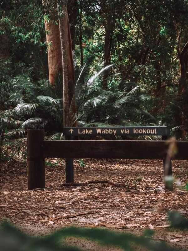 Fraser Island - Lake Waddy4-WEB27 Picnic area Lake Wabby - Fraser Island