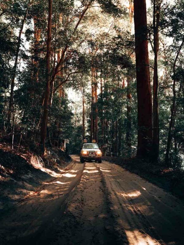 FraserIsland-Cocosandtracks13-WEB14 4WD on Fraser Island: The perfect adventure in 3 days