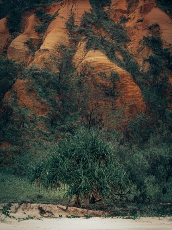 FraserIsland-RedCanyon16-WEB6 Red Canyon