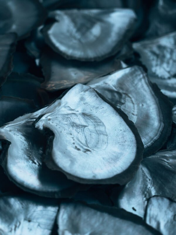 Broome - Willie Creek Pearl Farm4- BLOGPOST