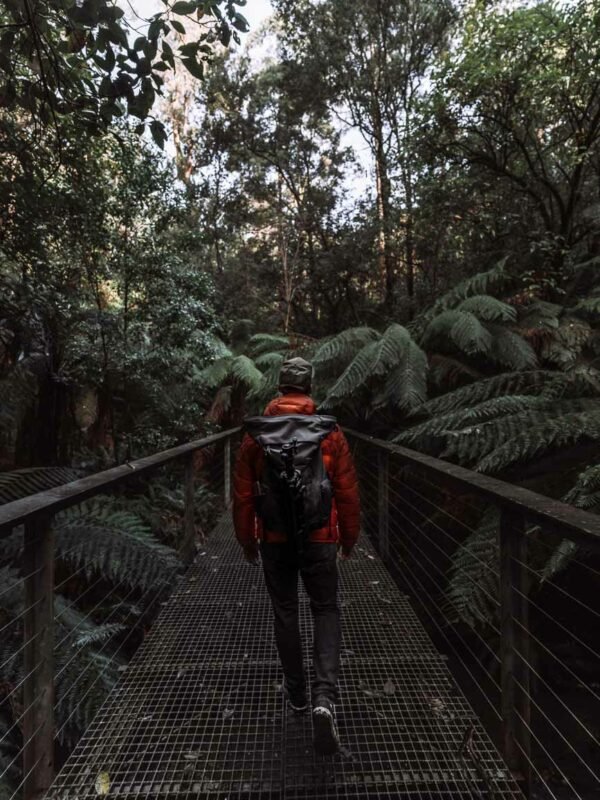 Great Otway NP - Henderson Falls Bridge - Mik Shoot22- BLOGPOST
