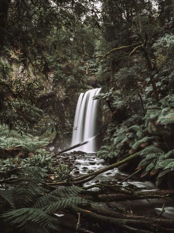 Great Otway NP- Hopetoun Falls7- BLOGPOST Great Otway NP- Hopetoun Falls7- BLOGPOST