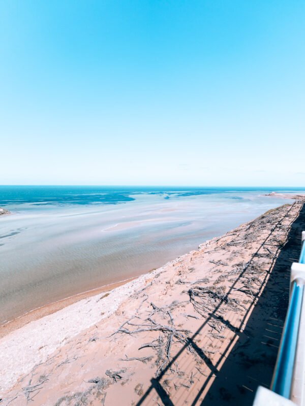 Shark Bay - Eagle Bluff Lookout24- BLOGPOST Shark Bay - Eagle Bluff Lookout24- BLOGPOST