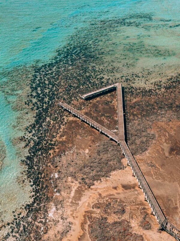 Shark Bay - Stromalites - Hamelin Pool3- BLOGPOST-2 Shark Bay - Stromalites - Hamelin Pool3- BLOGPOST-2
