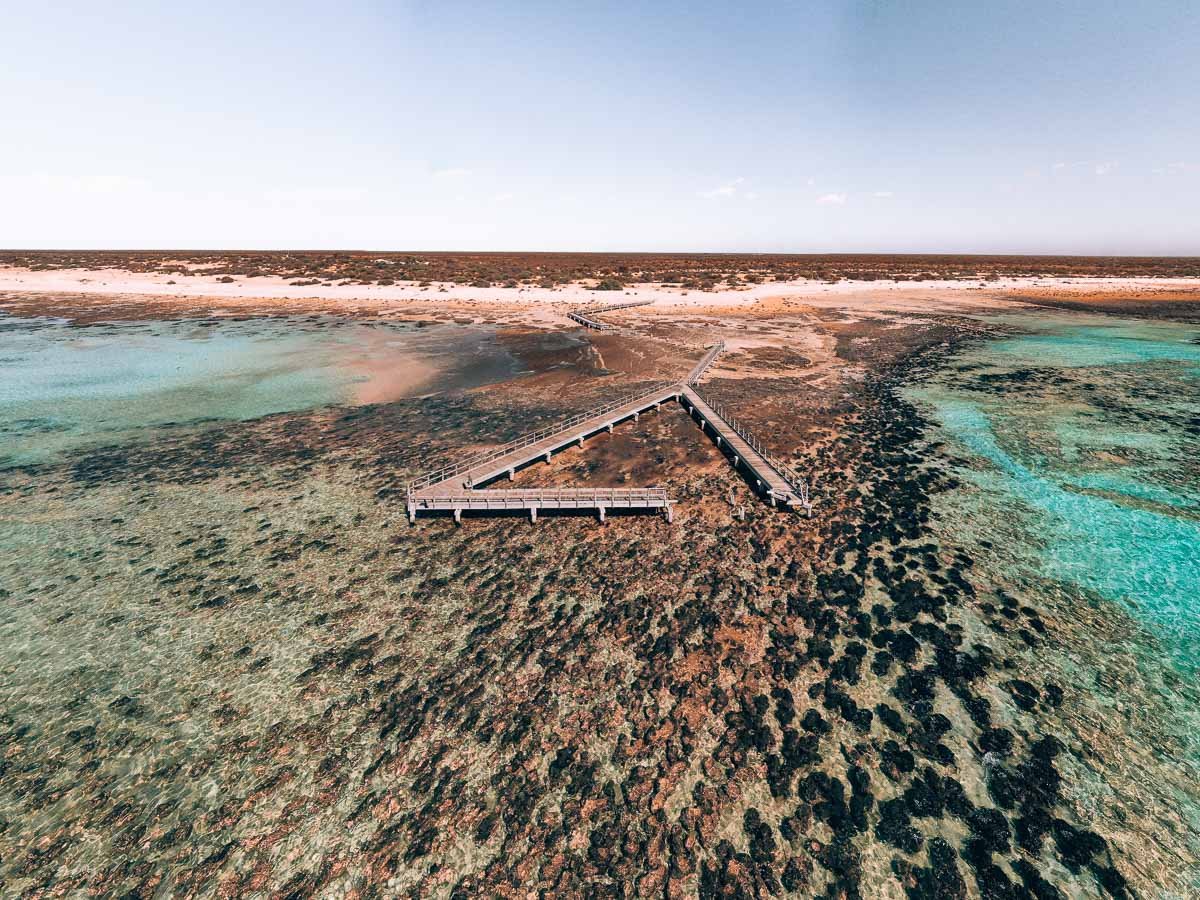 Shark Bay - Stromalites - Hamelin Pool Shark Bay - Stromalites - Hamelin Pool