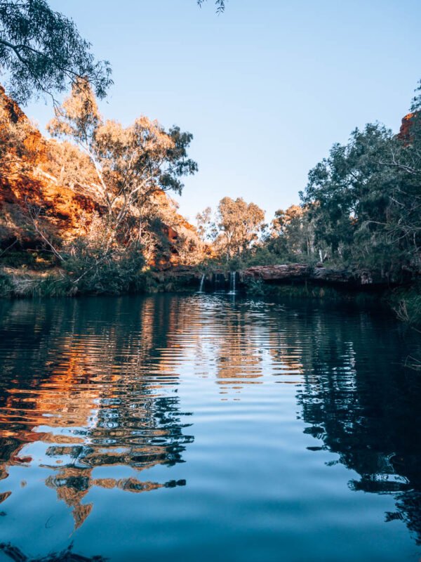 Karijini NP - Fern Pool1- BLOGPOST Karijini NP - Fern Pool1- BLOGPOST