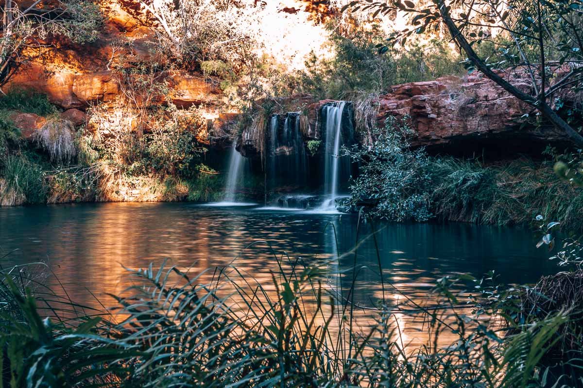 Karijini NP - Fern Pool19- BLOGPOST Karijini NP - Fern Pool19- BLOGPOST
