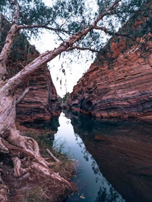 Karijini NP - Hamersley Gorge238- BLOGPOST Karijini NP - Hamersley Gorge238- BLOGPOST