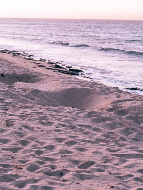 Exmouth - Hunter Beach turtle nest7- BLOGPOST Exmouth - Hunter Beach turtle nest7- BLOGPOST