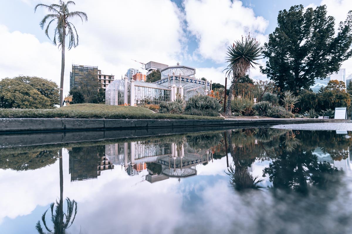 Adelaide - Botanic Gardens17- BLOGPOST