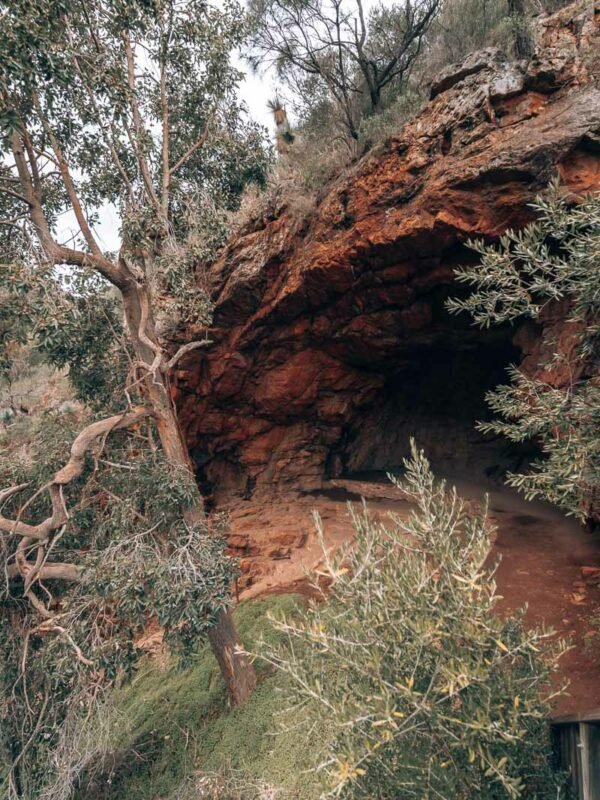 Adelaide - Morialta Conservation Park & First Falls105- BLOGPOST