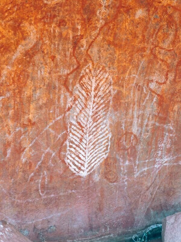 Uluru - Mala walk & Kantju Gorge7- BLOGPOST Uluru - Mala walk & Kantju Gorge7- BLOGPOST