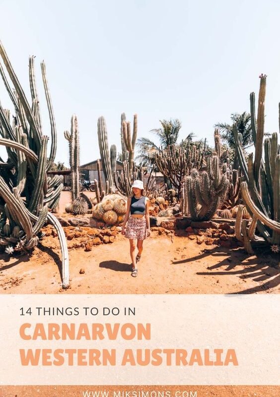 14 Things to do in Carnarvon Western Australia1