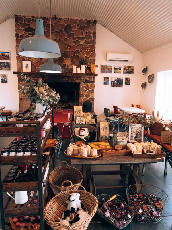 Bodalla Dairy Farm4- BLOGPOST