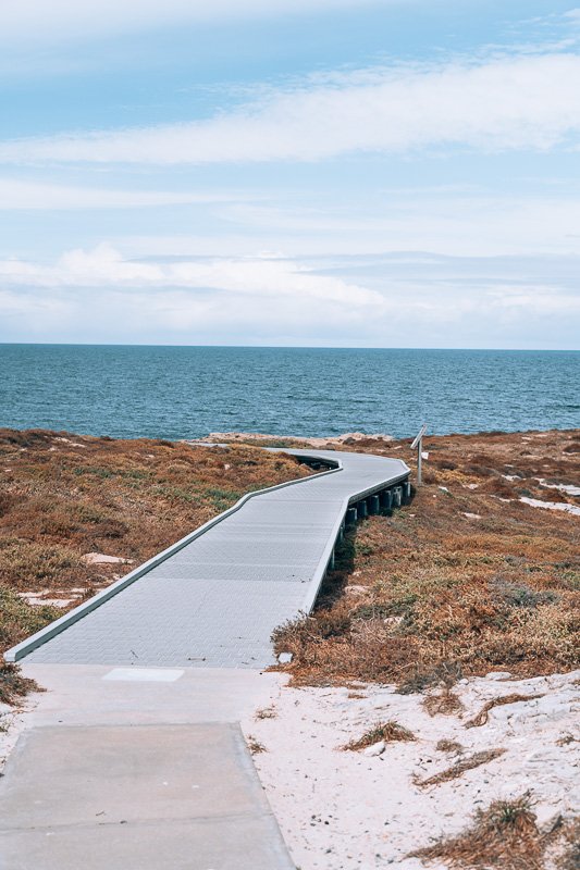 Rottnest Island - Cape Vlamingh4- BLOGPOST Rottnest Island - Cape Vlamingh4- BLOGPOST
