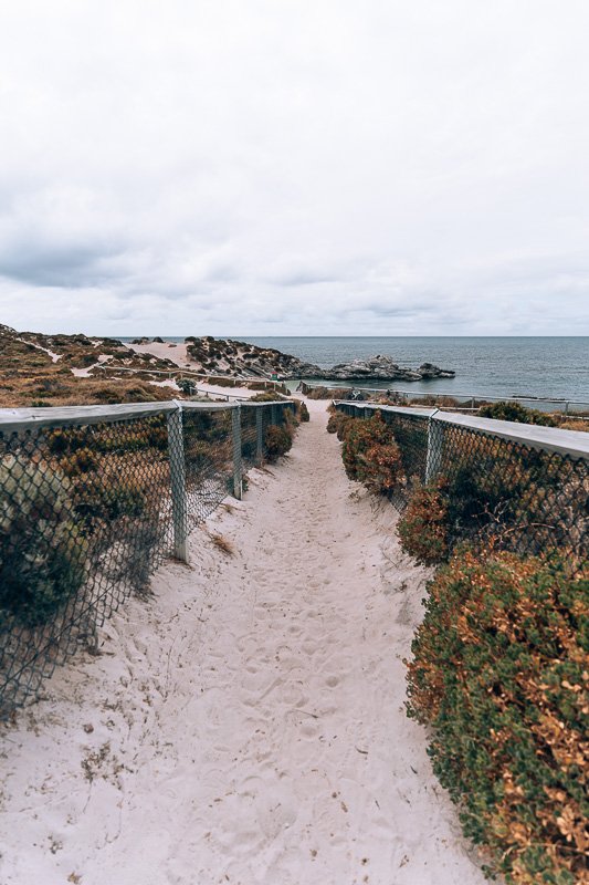 Rottnest Island - Fays Beach2- BLOGPOST Rottnest Island - Fays Beach2- BLOGPOST