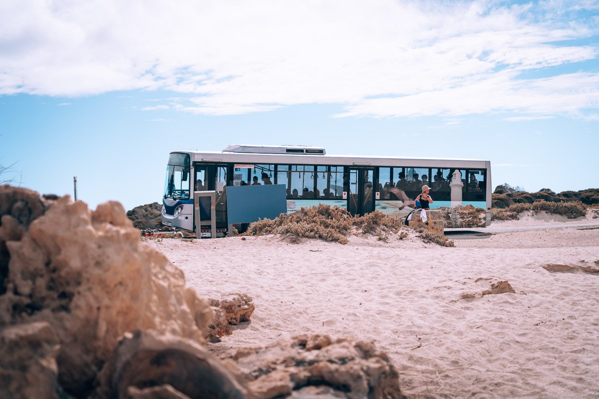 how to get around on Rottnest Island how to get around on Rottnest Island