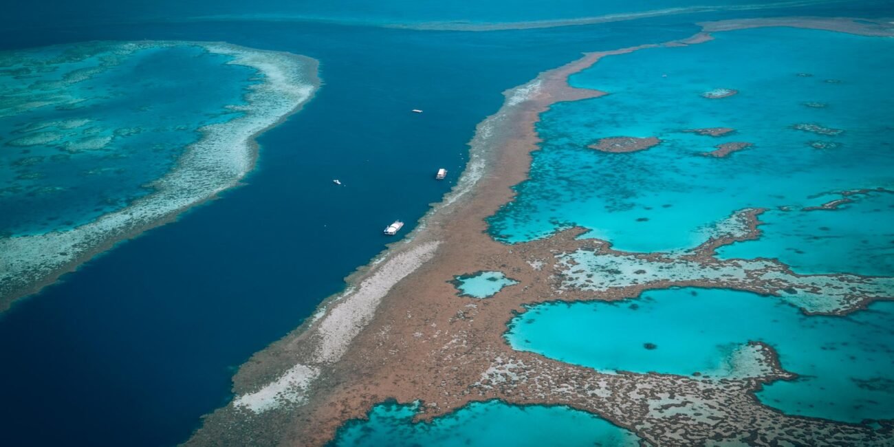 Cairns to Brisbane: the perfect East Coast road trip in Australia
