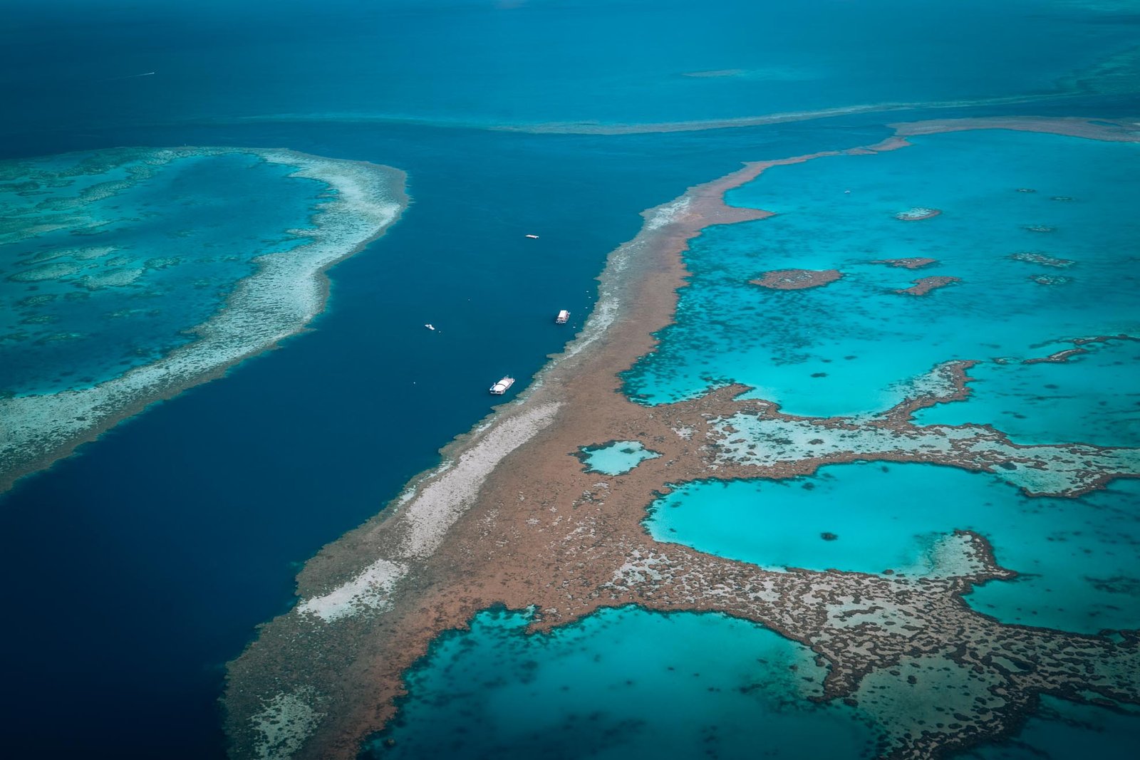Cairns to Brisbane: the perfect East Coast road trip in Australia
