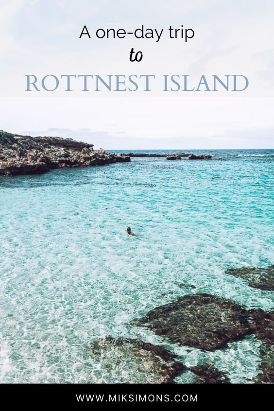 The perfect one-day trip to Rottnest Island1 The perfect one-day trip to Rottnest Island1