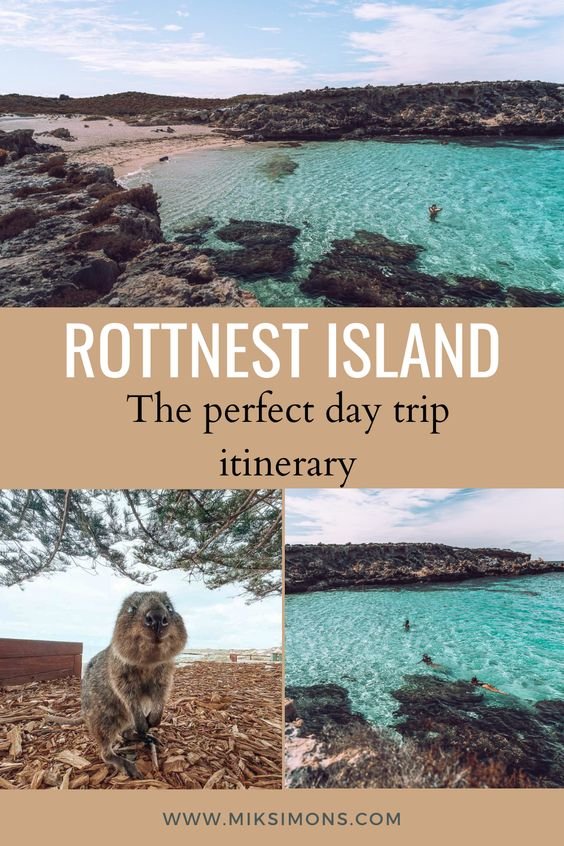 The perfect one-day trip to Rottnest Island2 The perfect one-day trip to Rottnest Island2
