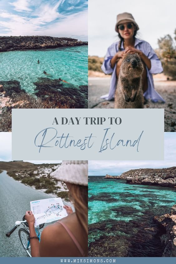 The perfect one-day trip to Rottnest Island3 The perfect one-day trip to Rottnest Island3