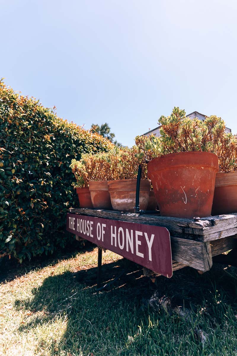 Swan Valley - House of Honey19- BLOGPOST Swan Valley - House of Honey19- BLOGPOST