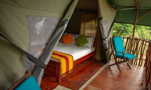 Camp Leopard