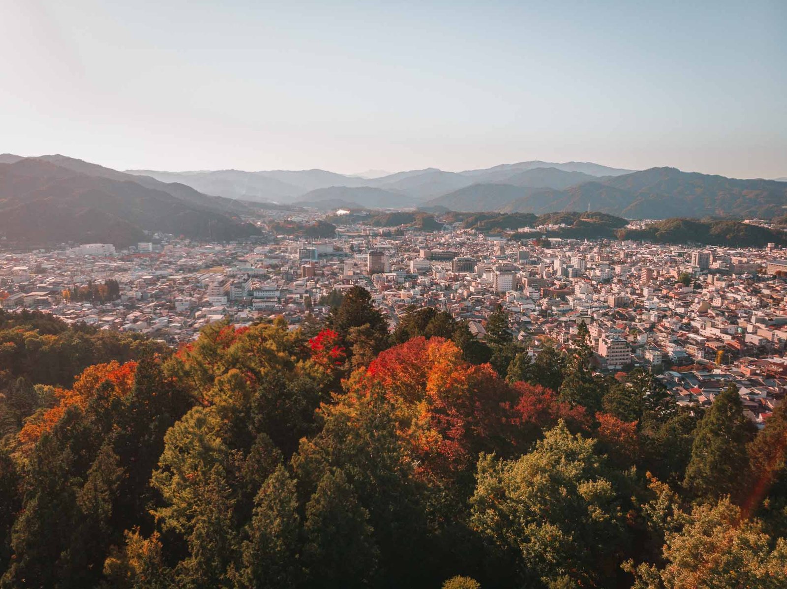 Takayama - coloured leaves drone view Takayama - coloured leaves drone view