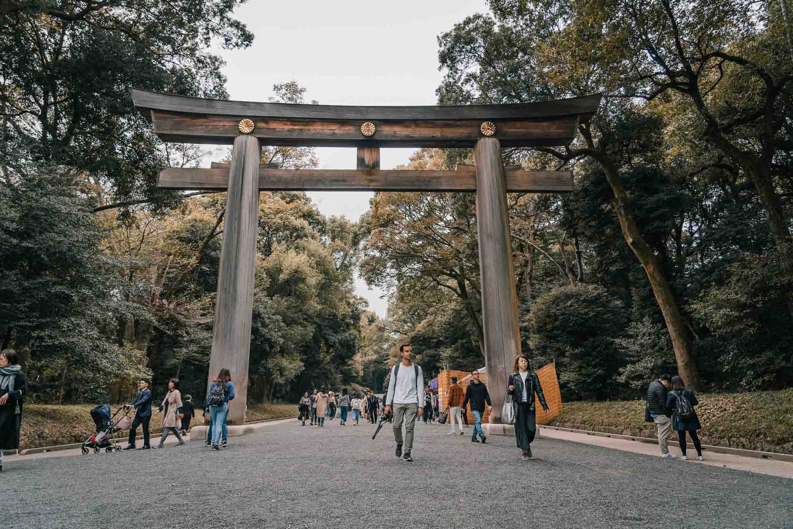 Yoyogi Park tokyo