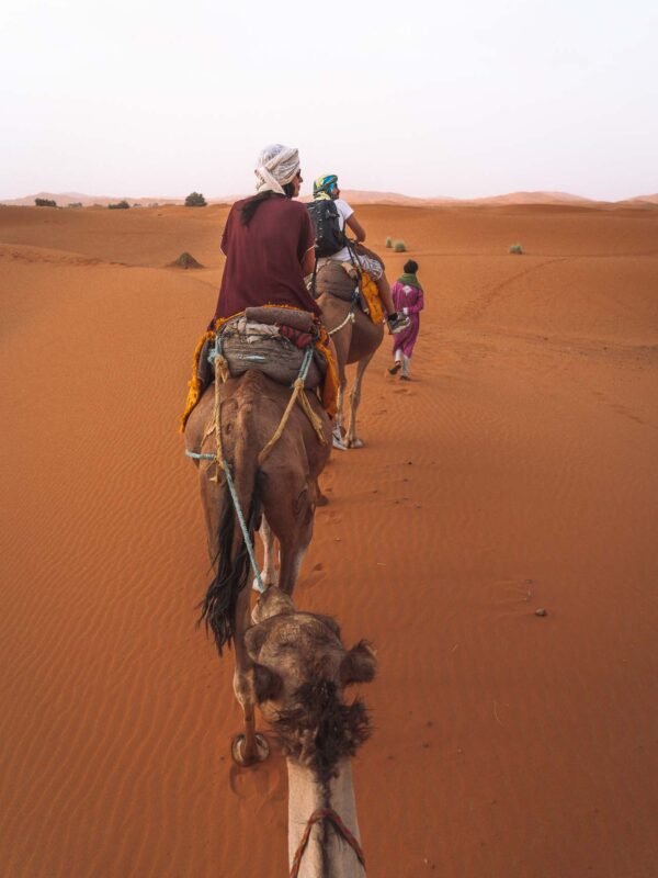 Sahara Desert Luxury Camp - Camel Ride9- BLOGPOST HQ Sahara Desert Luxury Camp - Camel Ride9- BLOGPOST HQ