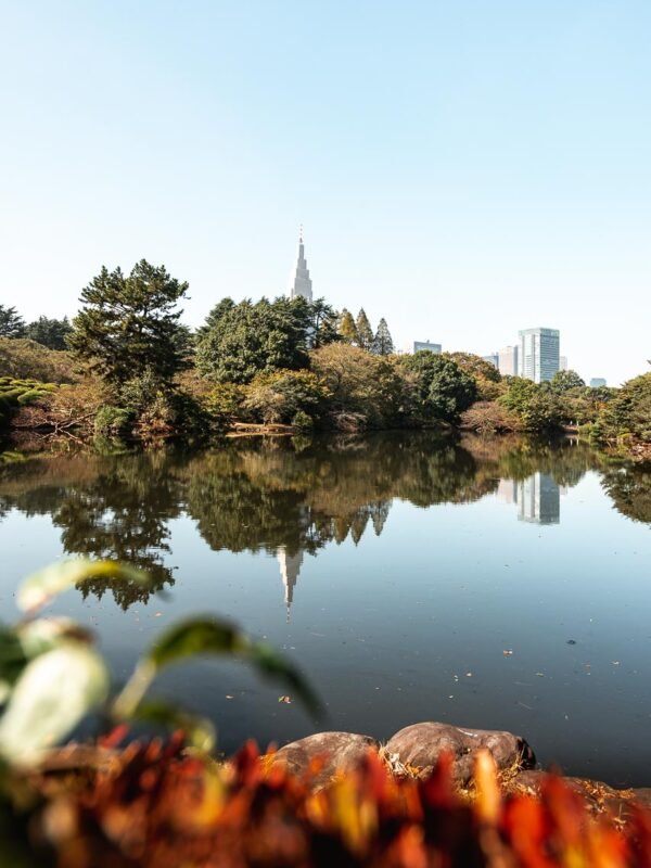 Shinjuku Gyoen National Garden