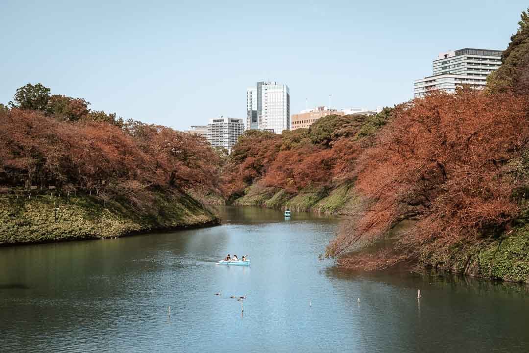 Tokyo Autumn