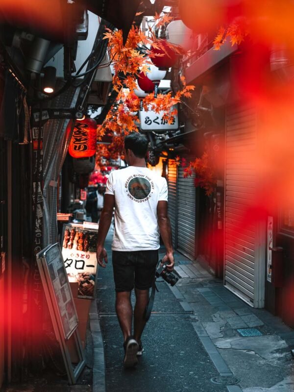 izakayas in Omoide Yokocho