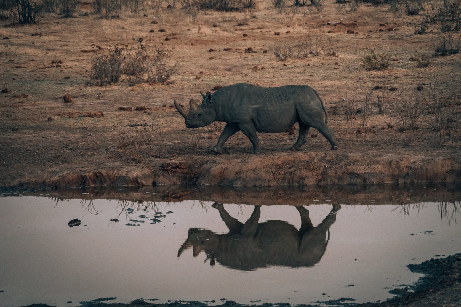 Namibia Blogpost - Etosha National Park
