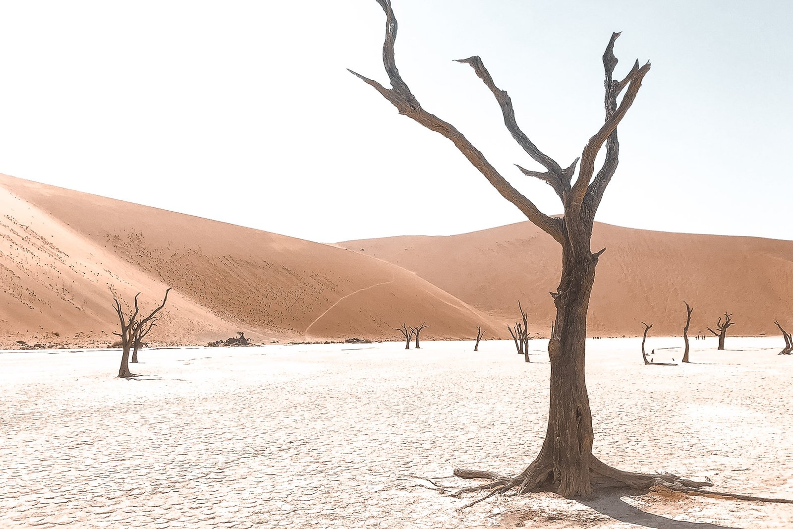 Sossusvlei in Namibia Sossusvlei in Namibia