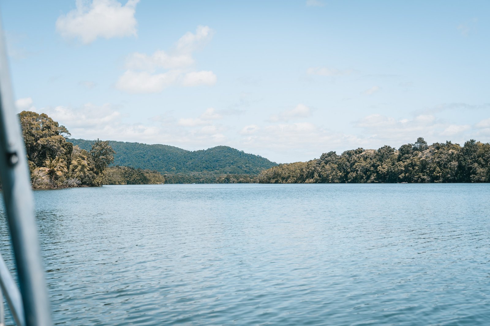 Daintree NP - Solar Whisper Wildlife and Crocodile Cruises on the Daintree river10- BLOGPOST HQ