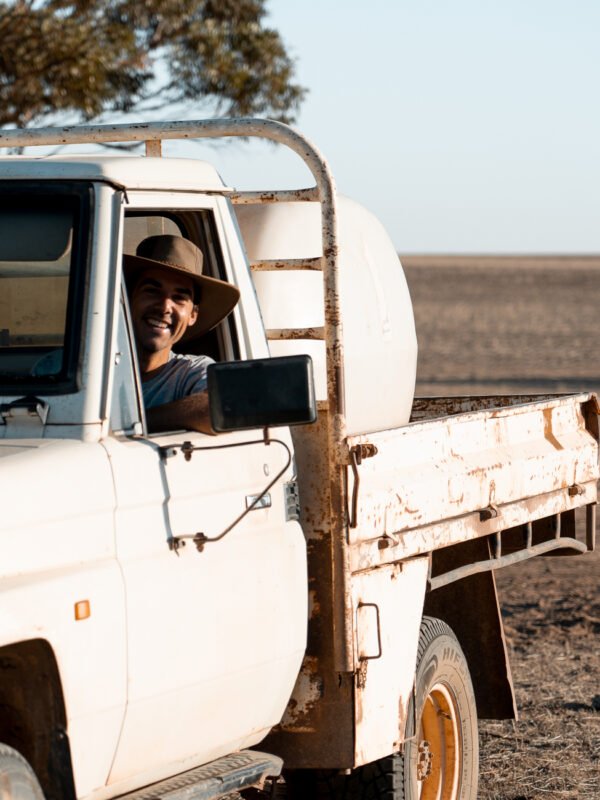 Farmwork WA - Sheep Shifting120- IG1 Farmwork WA - Sheep Shifting120- IG1