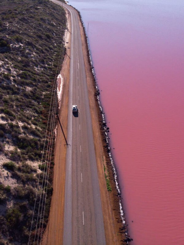 Hutt Lagoon Pink Lake21- BLOGPOST Hutt Lagoon Pink Lake21- BLOGPOST