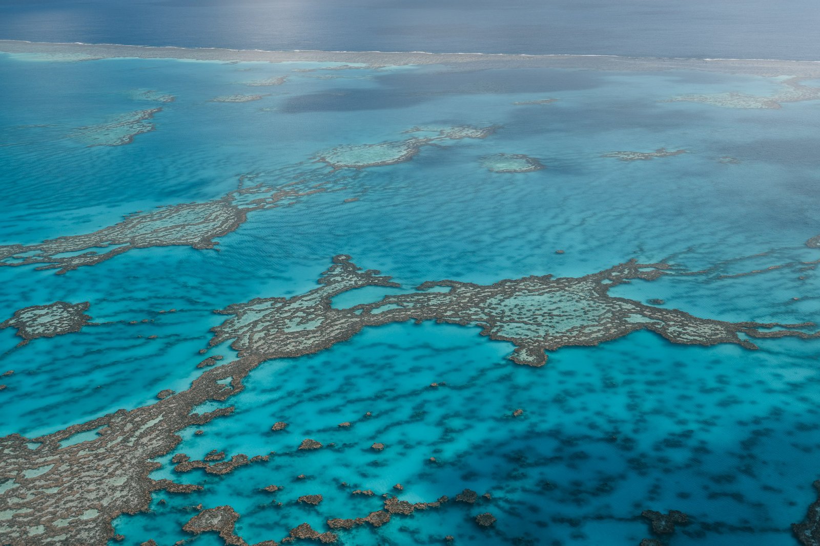 Scenic Flight Heart reef245- BLOGPOST HQ