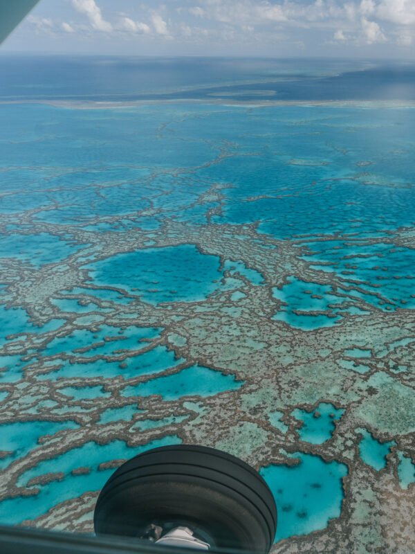 Scenic Flight Heart reef250- BLOGPOST HQ Scenic Flight Heart reef250- BLOGPOST HQ