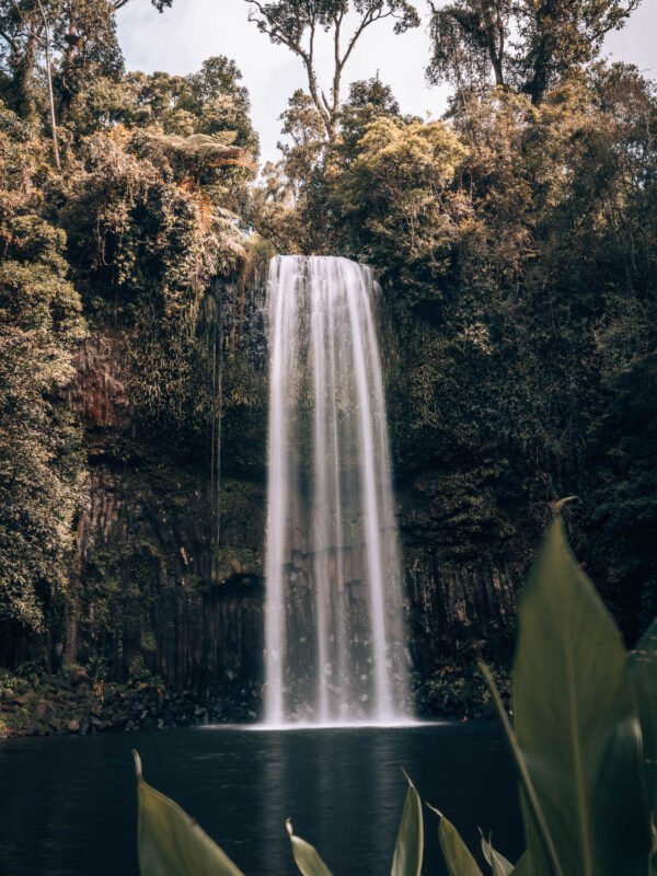 Waterfall Loop - Milaa Milaa Falls10- BLOGPOST HQ