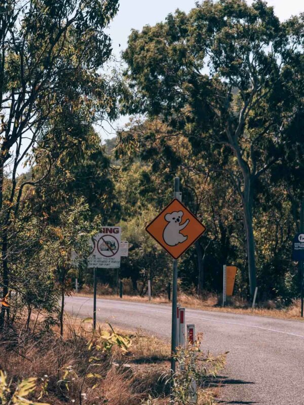 Magnetic Island - Picnic Bay12- BLOGPOST HQ