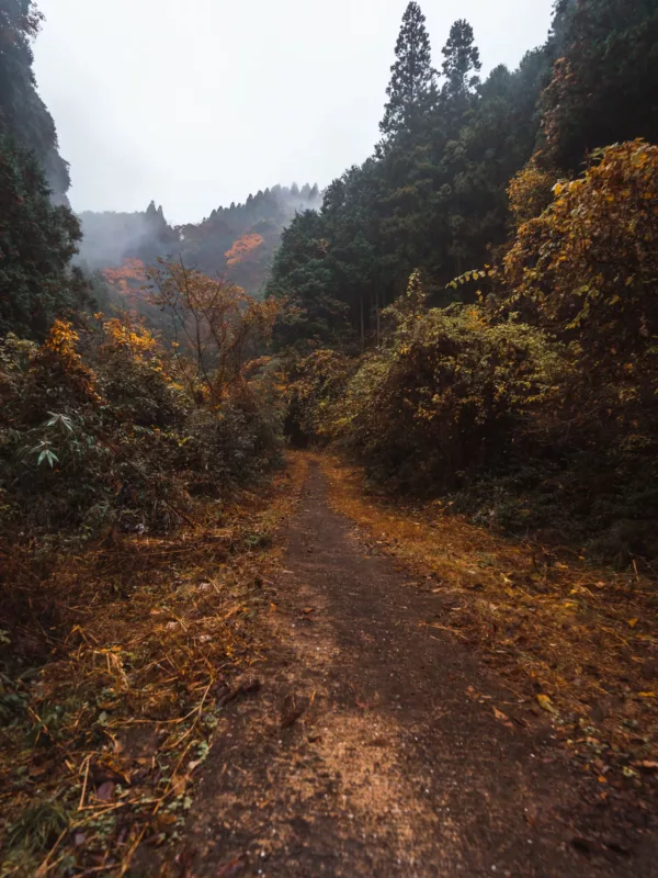 Road trip Kyushu - Yono Falls76- BLOGPOST HQ Road trip Kyushu - Yono Falls76- BLOGPOST HQ