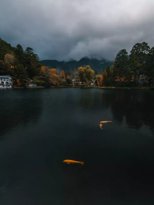 Road trip Kyushu - Yufuin Lake13- BLOGPOST HQ Road trip Kyushu - Yufuin Lake13- BLOGPOST HQ