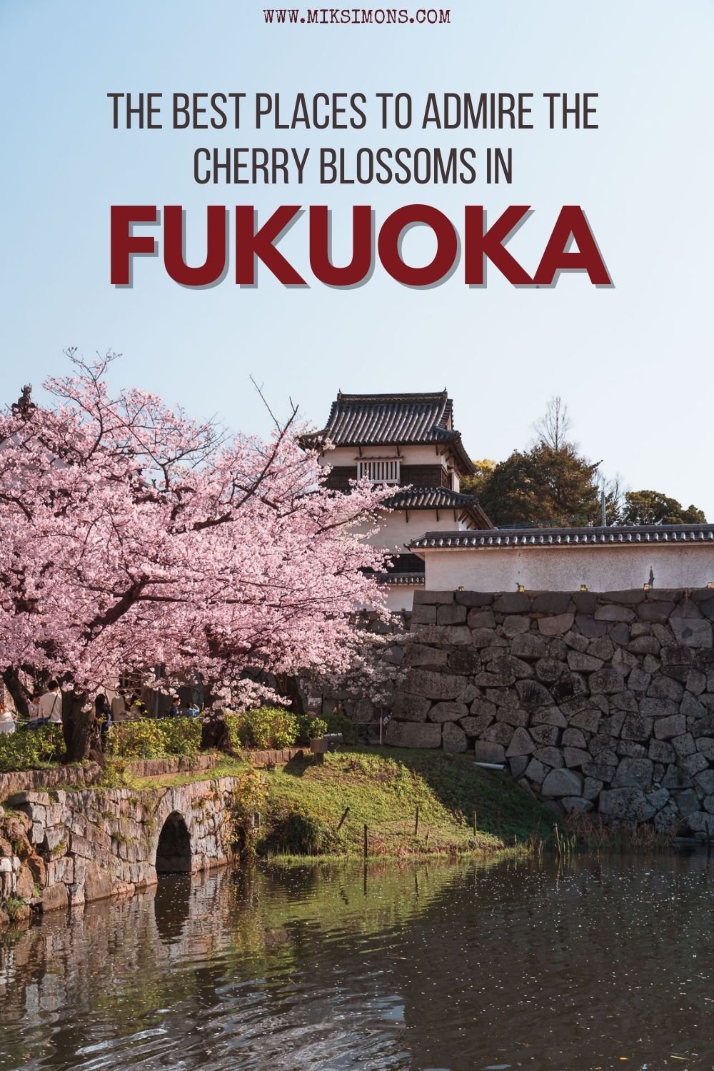 9 x the best places to see cherry blossoms in Fukuoka2 9 x the best places to see cherry blossoms in Fukuoka2
