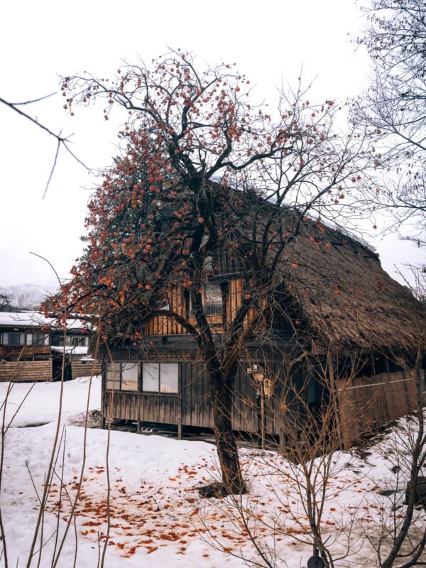 Chubu - Shirakawago242- BLOGPOST HQ Chubu - Shirakawago242- BLOGPOST HQ
