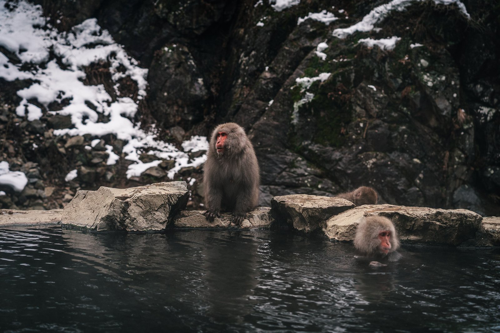 Chubu - Snow Monkey Park431- BLOGPOST HQ Chubu - Snow Monkey Park431- BLOGPOST HQ