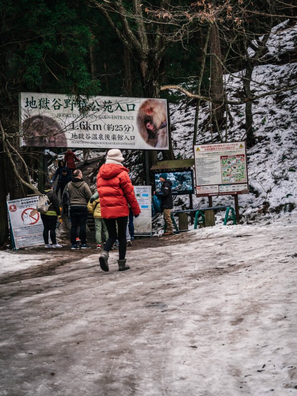 Chubu - Snow Monkey Park555- BLOGPOST HQ Chubu - Snow Monkey Park555- BLOGPOST HQ